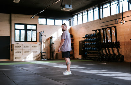 Men t-shirt lavender